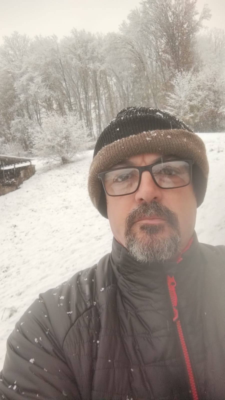 WhatsApp Image 2024-12-15 at 11.51.53.jpeg