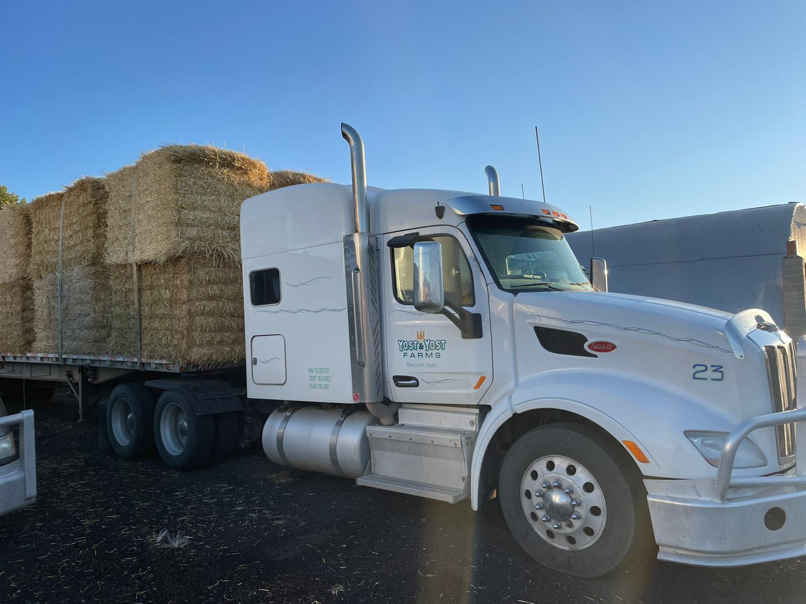 WhatsApp Image 2022-09-24 at 19.48.11.jpeg